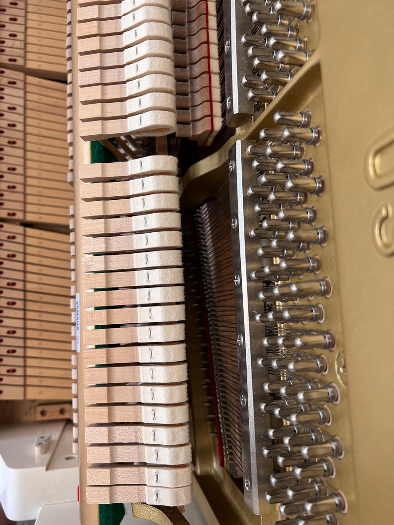 Yamaha U3AS