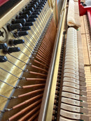 Yamaha U1 SPESIAALIVÄRI (Ruby Red)