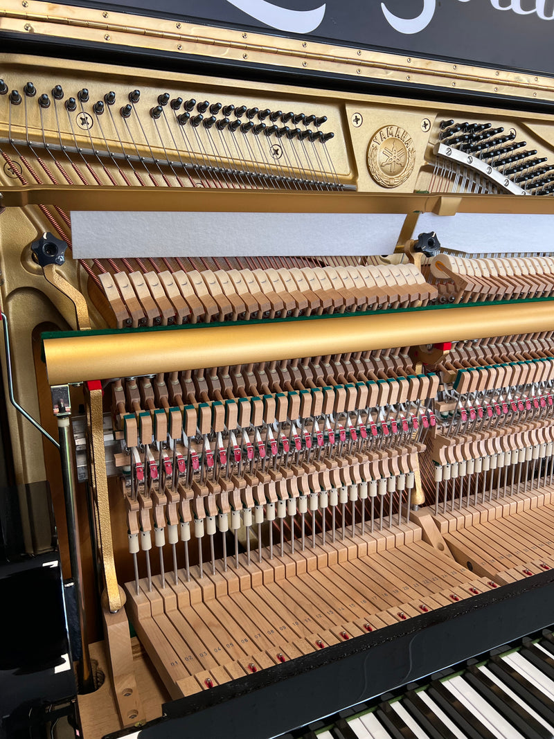 Yamaha U3