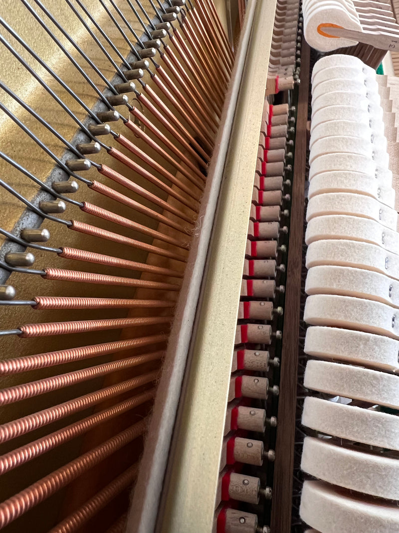 Yamaha U100