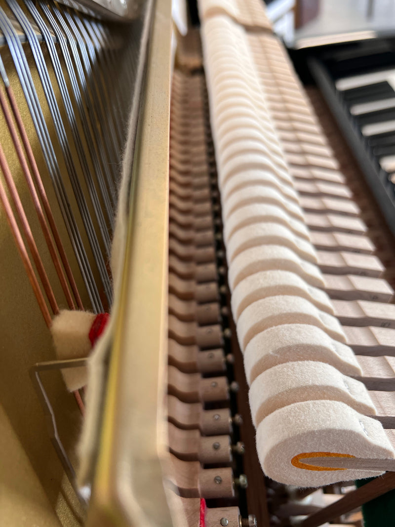 Yamaha U100