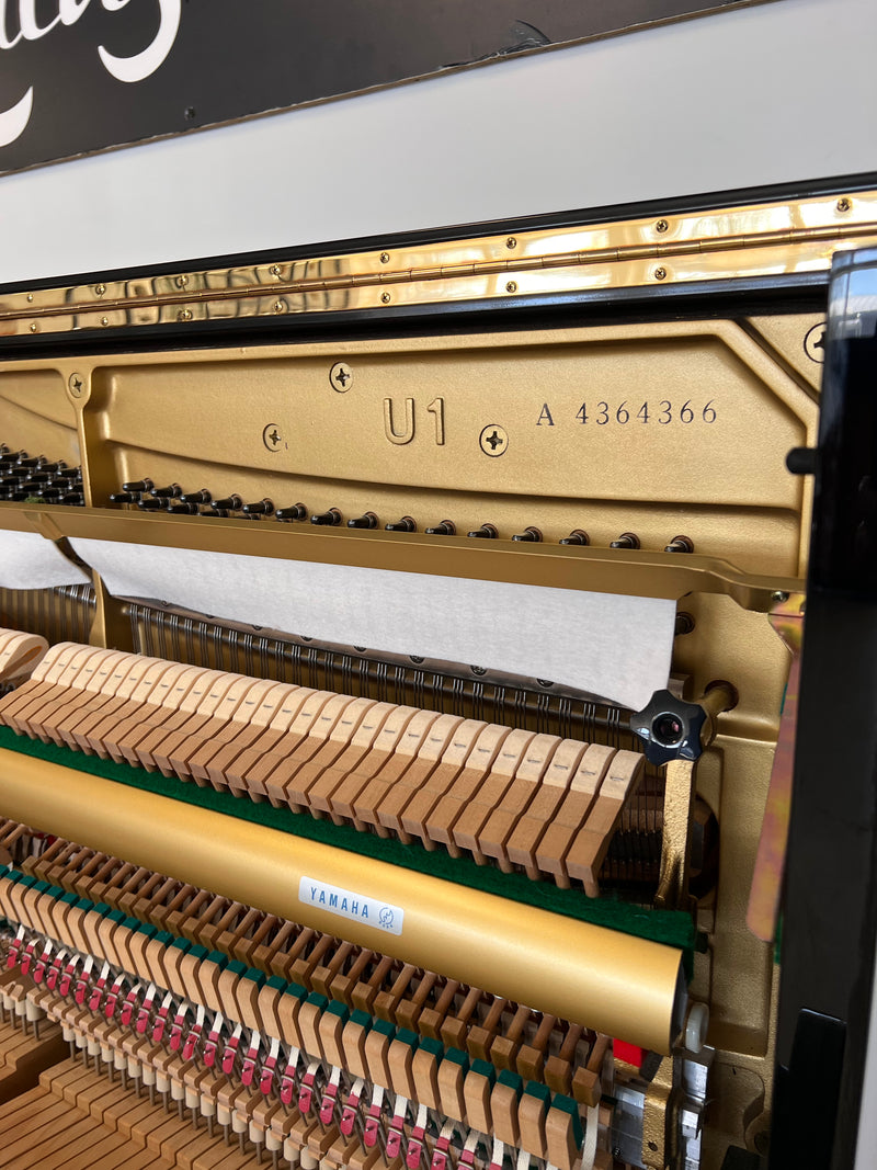 Yamaha U1