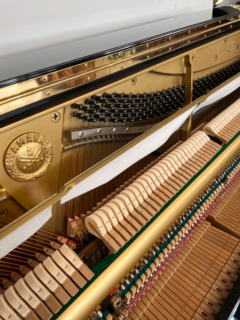 Yamaha U1