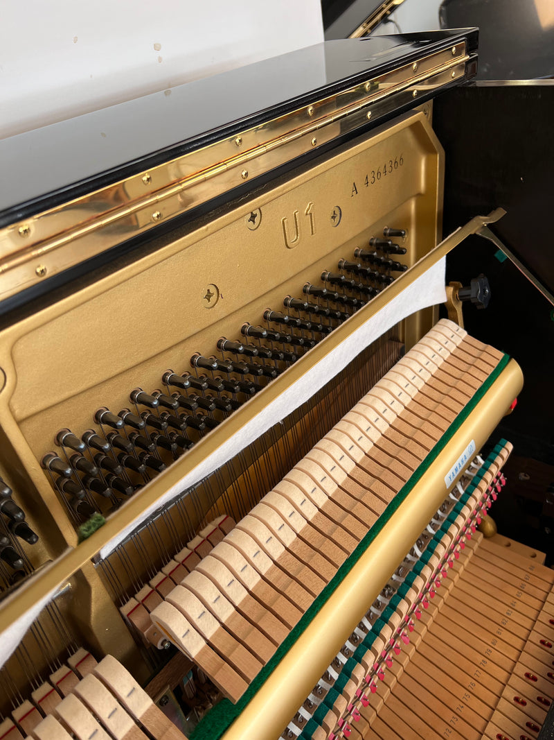Yamaha U1