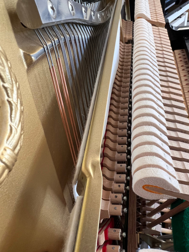 Yamaha U1