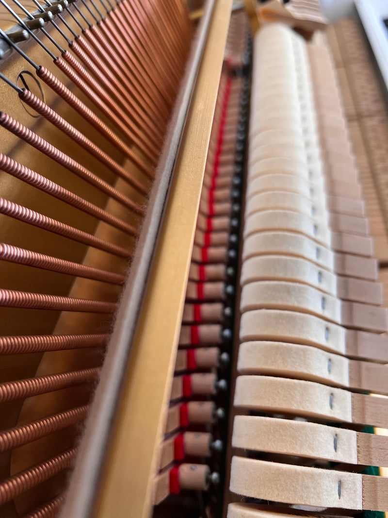 Yamaha U3