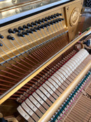 Yamaha U3