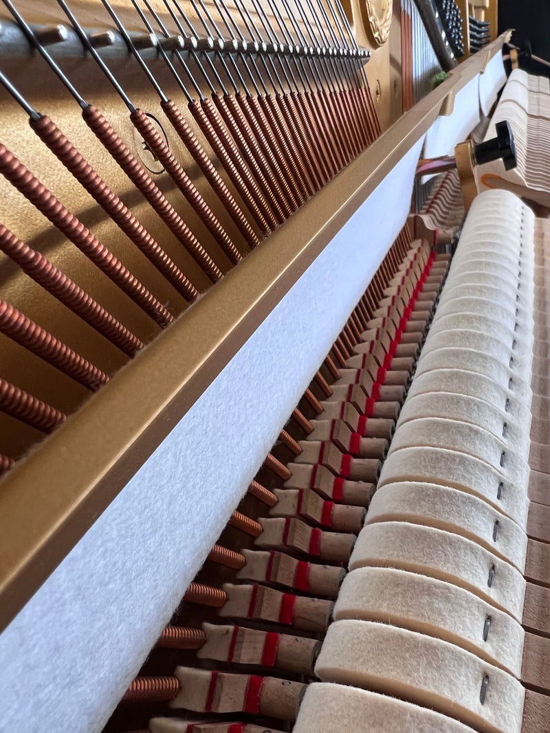 Yamaha U3