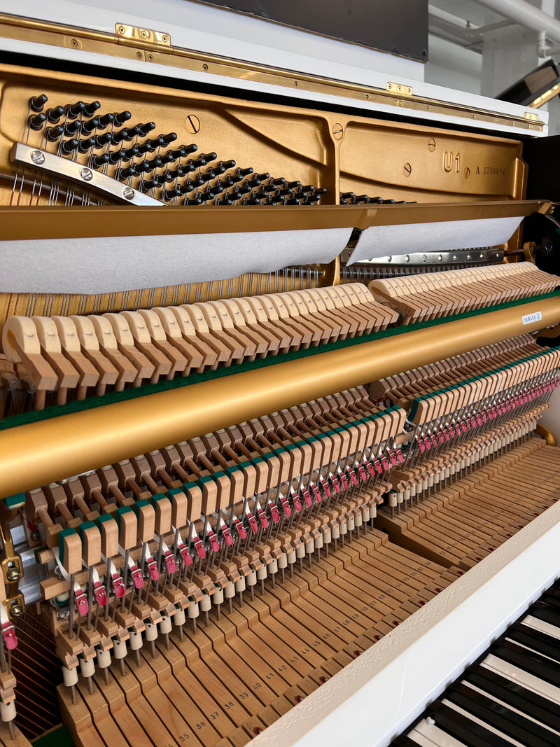 Yamaha U1
