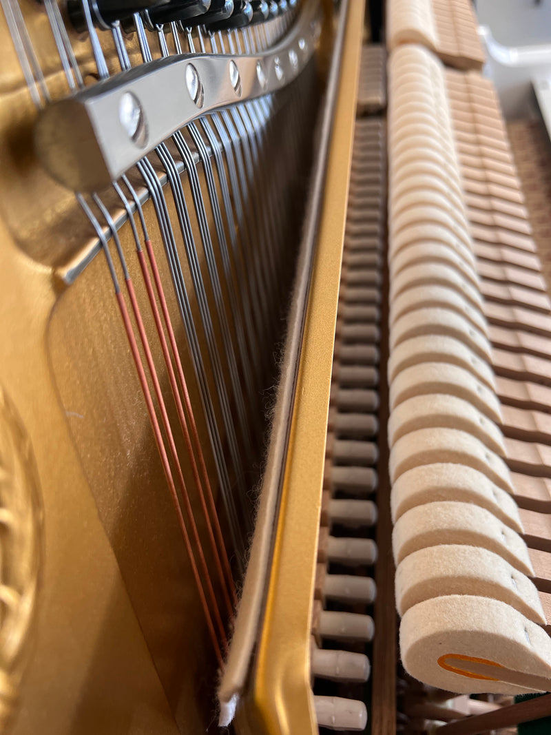 Yamaha U1