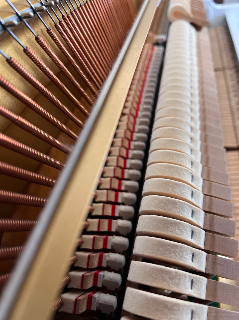 Yamaha U1