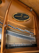 Shigeru Kawai SK-2 180cm