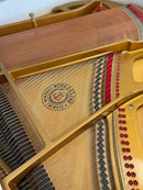 Suzuki flyygeli (150cm)