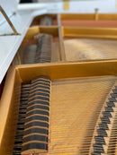 Suzuki flyygeli (150cm)