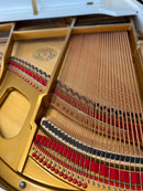 Suzuki flyygeli (150cm)