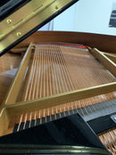 Kawai GL-10 musta