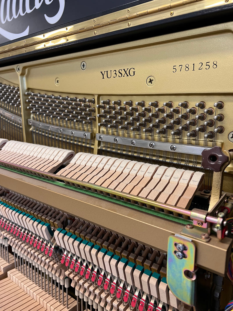 Yamaha YU3 SXG SILENT/DISKLAVIER