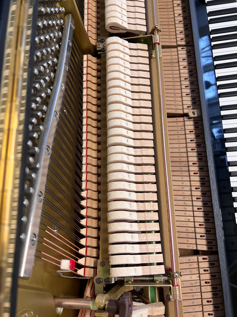 Yamaha YU3 SXG SILENT/DISKLAVIER